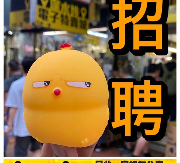 招聘招聘繼續招聘👾