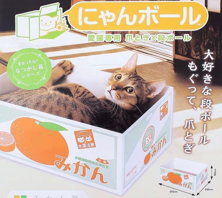 貓箱 $29