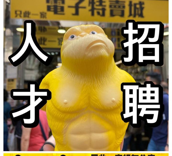 唔理你咩樣🤡