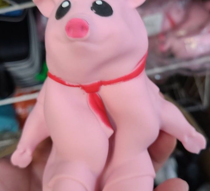 $19