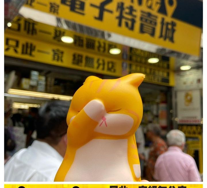 無眼睇呀😩