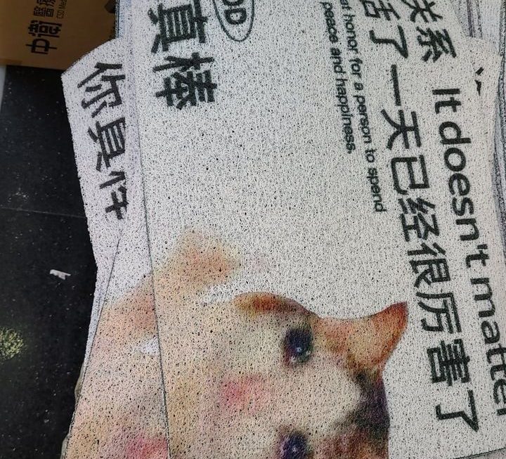 $19