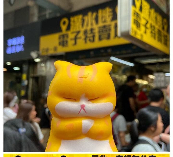 嬲嬲貓減壓公仔~$9
