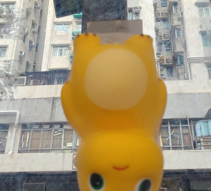 我真係好鍾意返工㗎、希望聽日八號風球啦😌😌😌