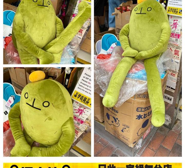 青頭毛公仔~$89