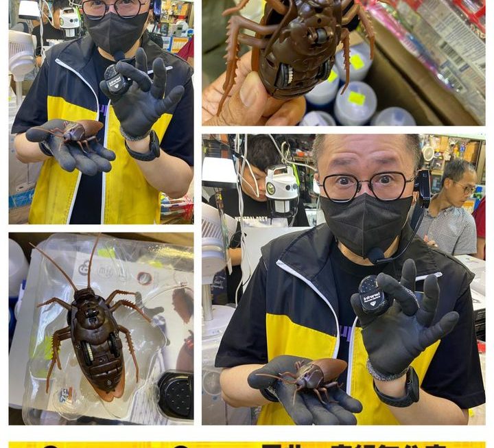遙控巨型小強~$49