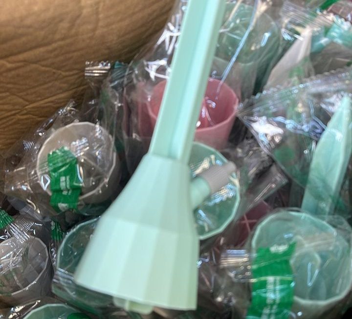 $3 種花迪迪仔喺門口位