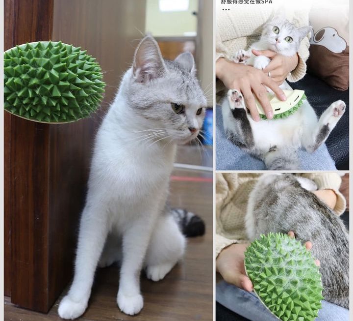 榴槤型貓梳 $15