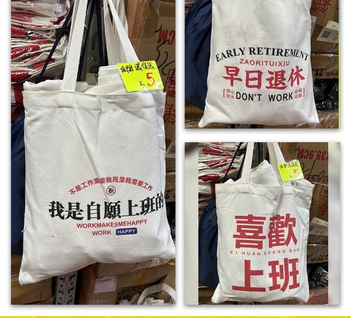 多款手提環保袋~$5/款