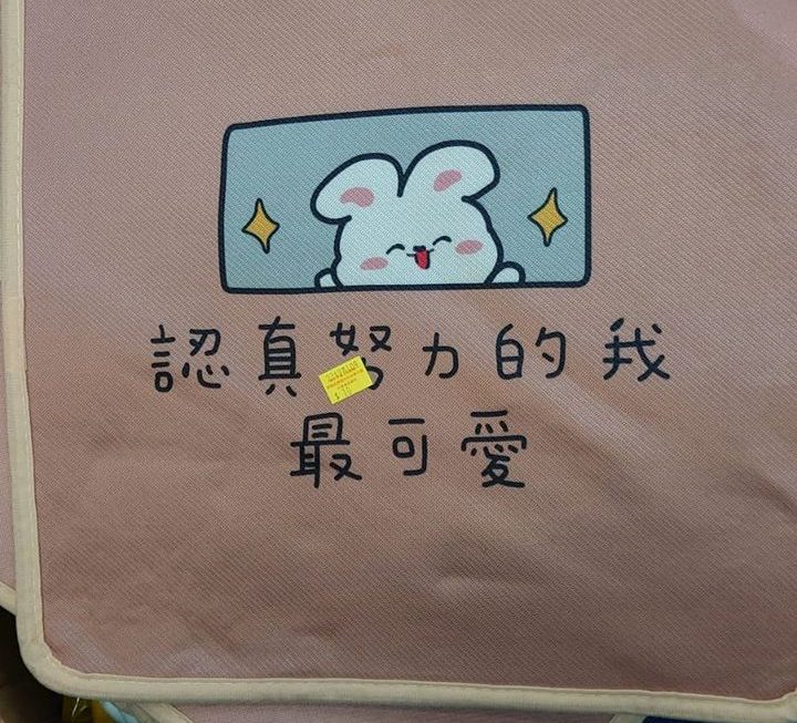 $10 坐墊