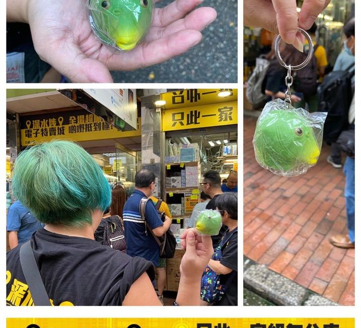 你咪傳說中嘅青龍頭😆😆