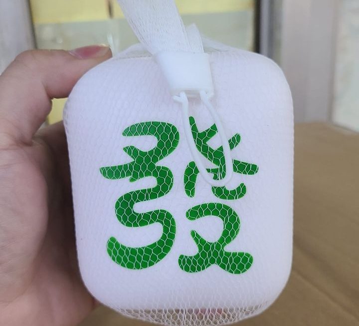 $10 軟公仔