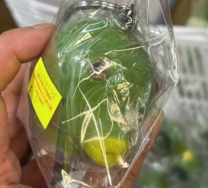$9 掛飾