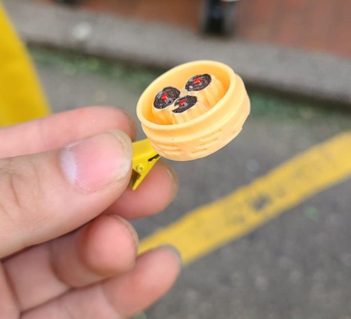 $3 燒賣！！？？！髮夾 🤔🤔🤔