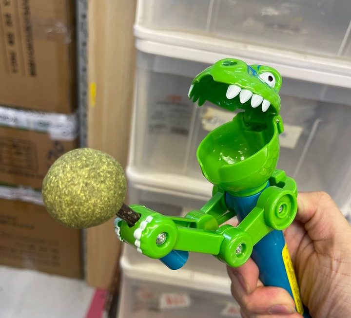 貓薄荷 $19