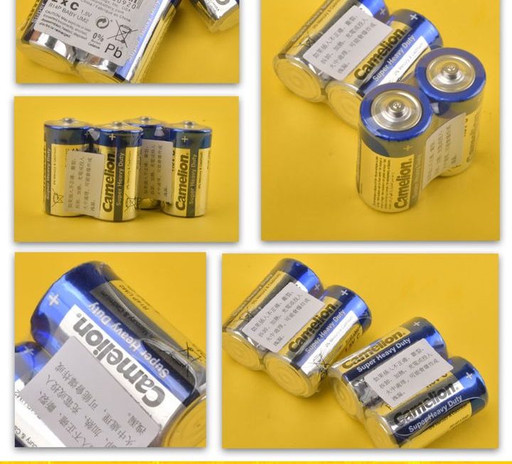 Camelion 1.5V大電池~$9/2粒