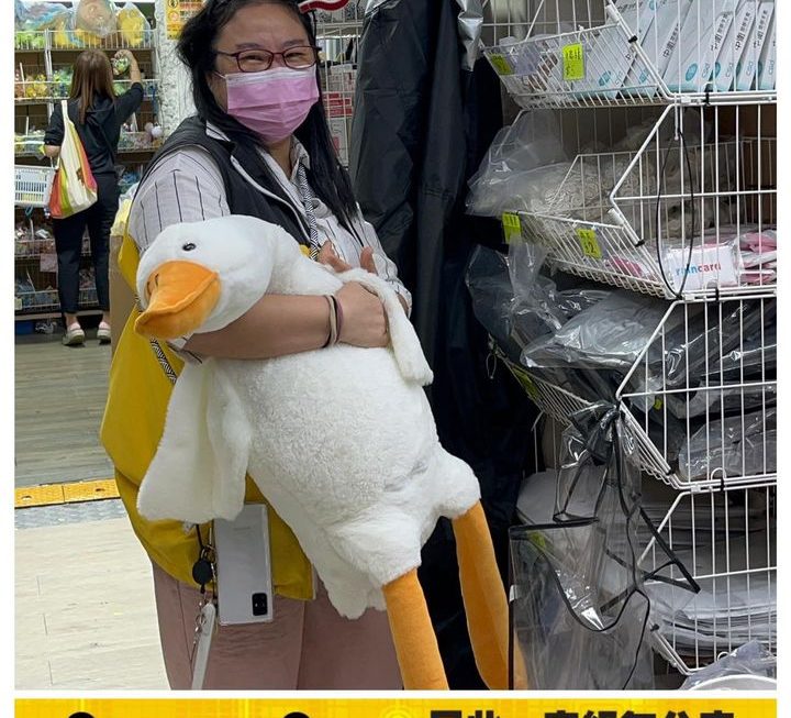 唔知係鴨定鵝定天鵝🤔