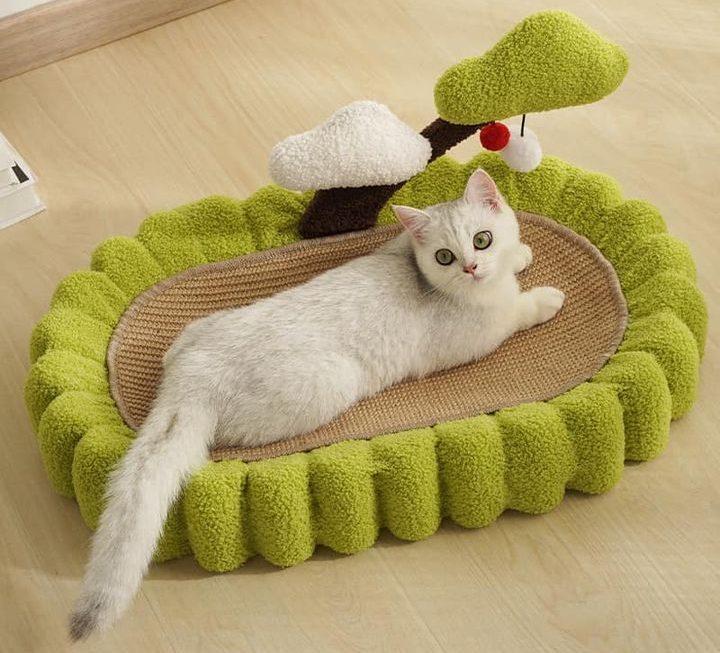 盆景貓抓板 $59