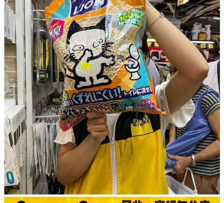 Lion 除臭貓砂~$45