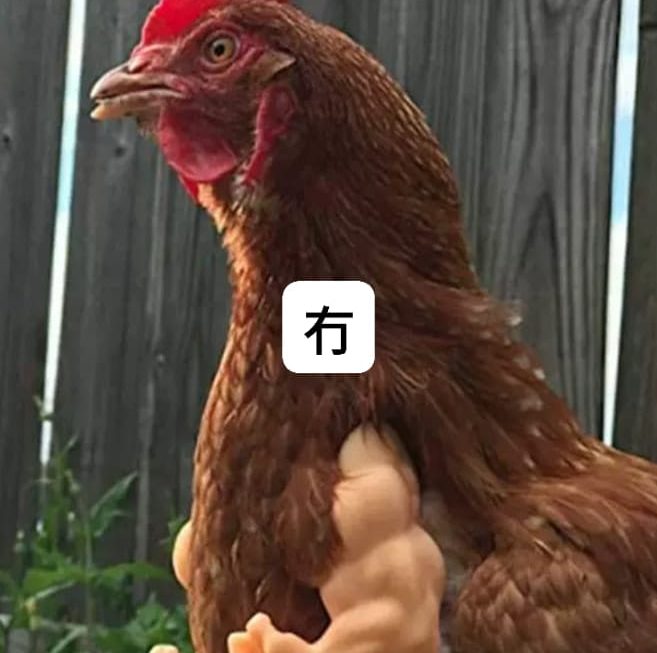 好想返呀。。。