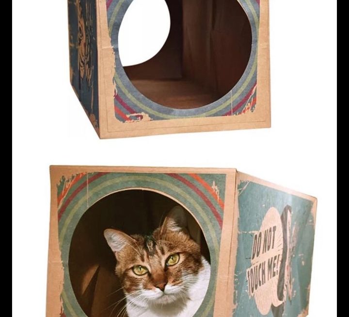 牛皮紙貓隧道 $19