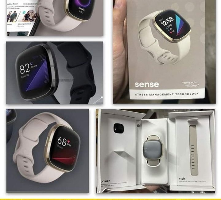 Fitbit Sense智慧手錶~$880