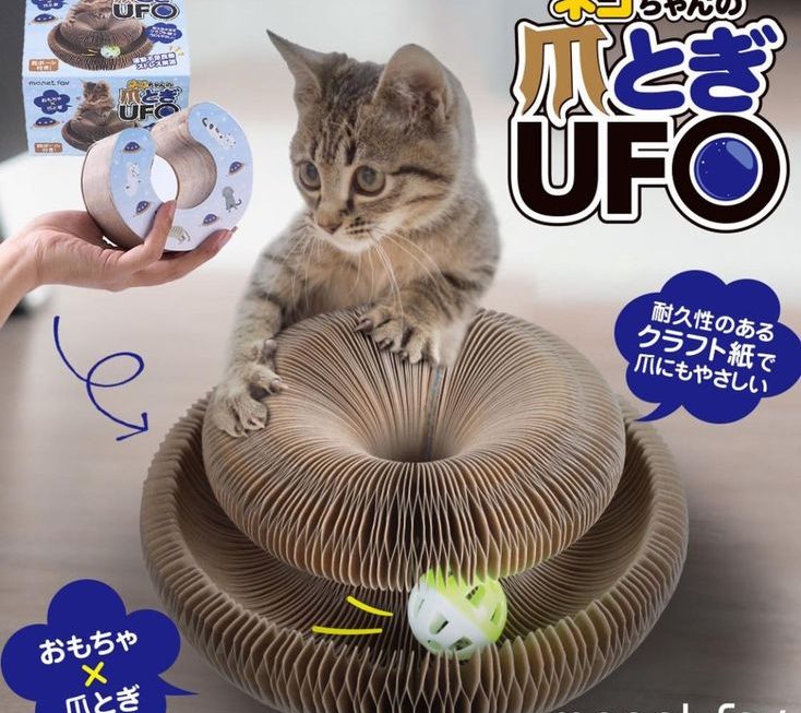 貓抓玩具 $69
