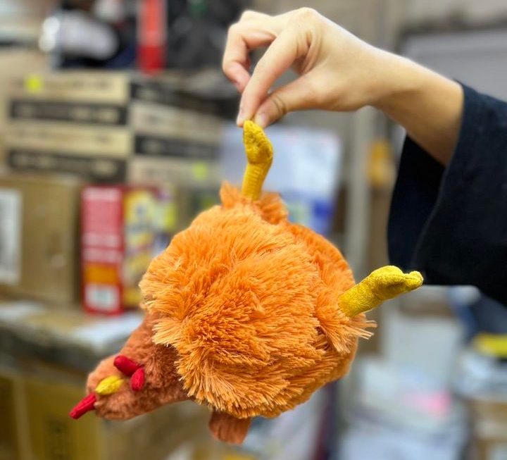 雞，全部都係雞～$29