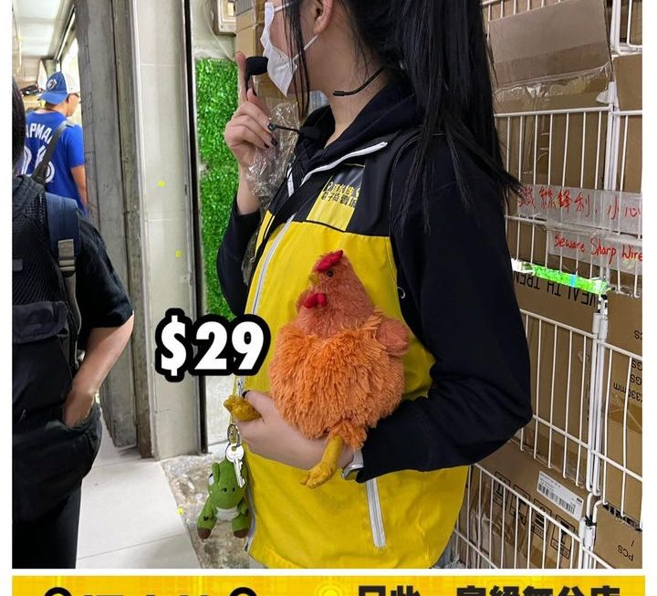 公雞🐓毛公仔~$29