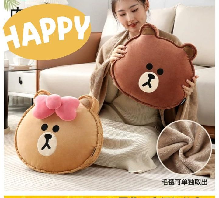 Line & friends 二合一毛毯攬枕 ~$99