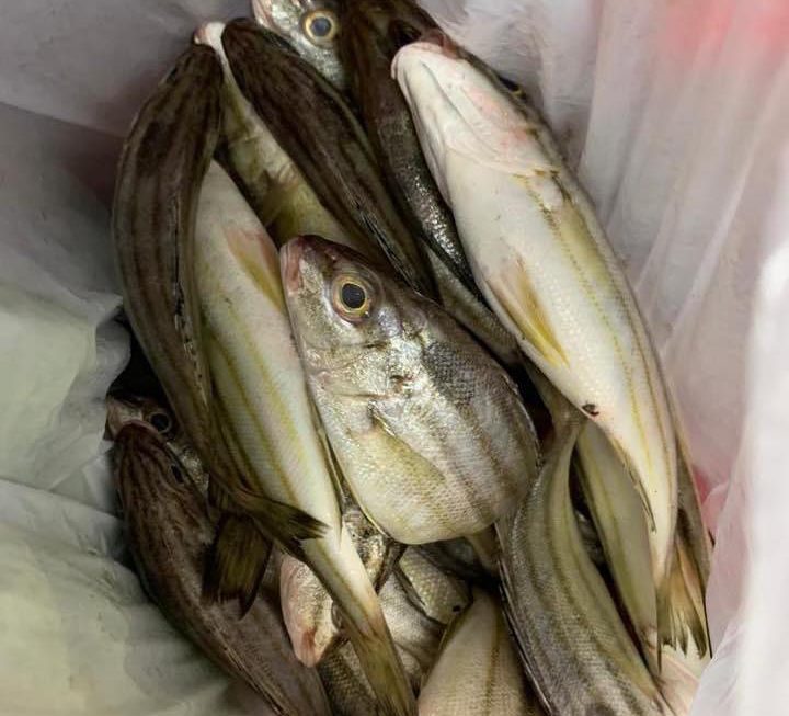 既然大家咁想睇