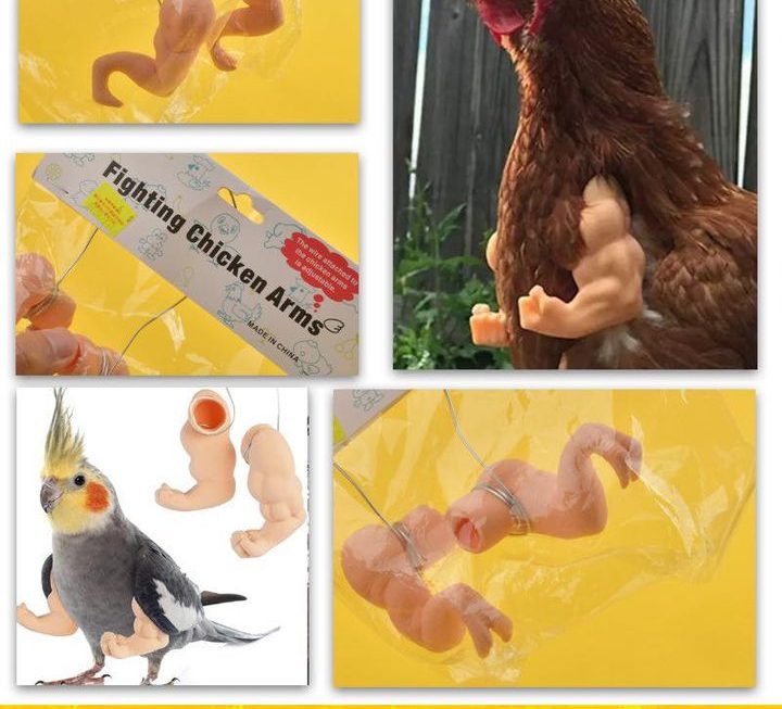 雀鳥寵物人造肌肉雞手臂玩具 ~$9😆