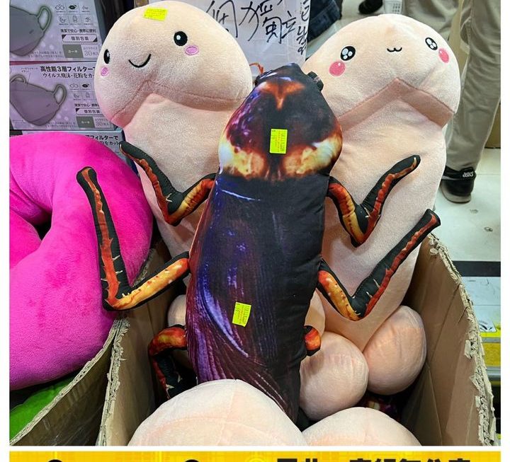 兩王一__😀😀😀