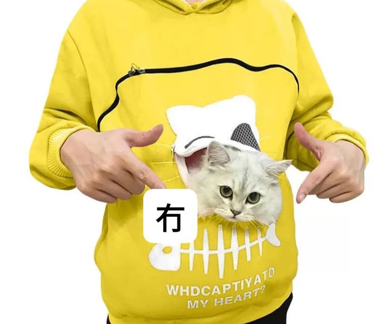 🤔🤔🤔會唔會有人著呢件衫、59蚊左右