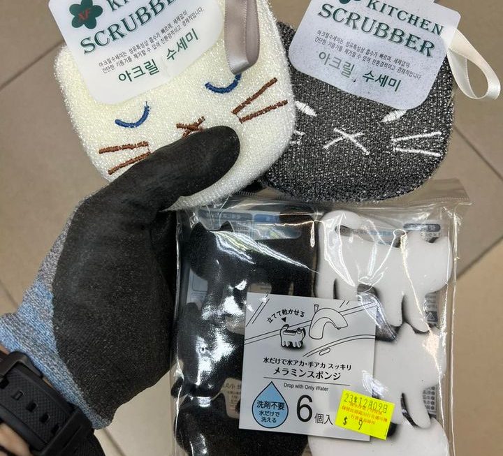 貓貓百潔布～$5