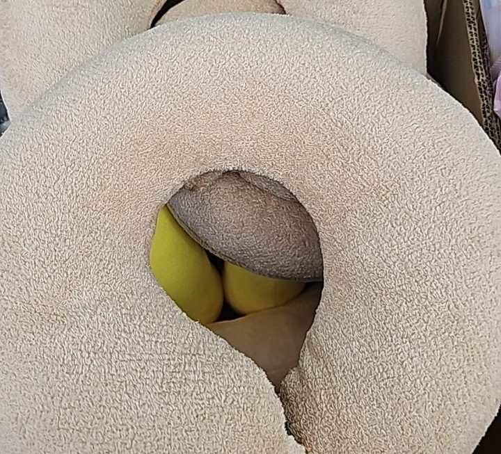 $15（2隻） 頸枕門口位