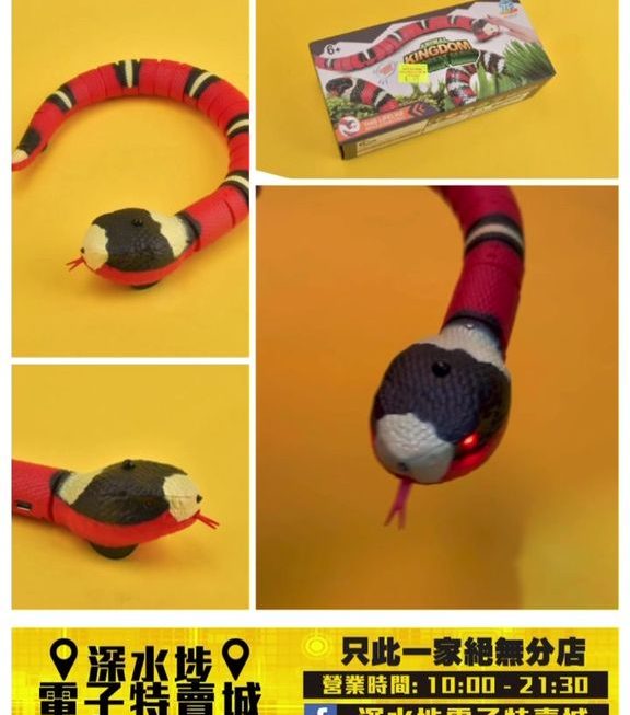 電動感應自動蛇玩具~$49
