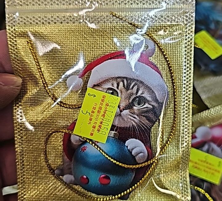 $5 貓貓掛牌門口位