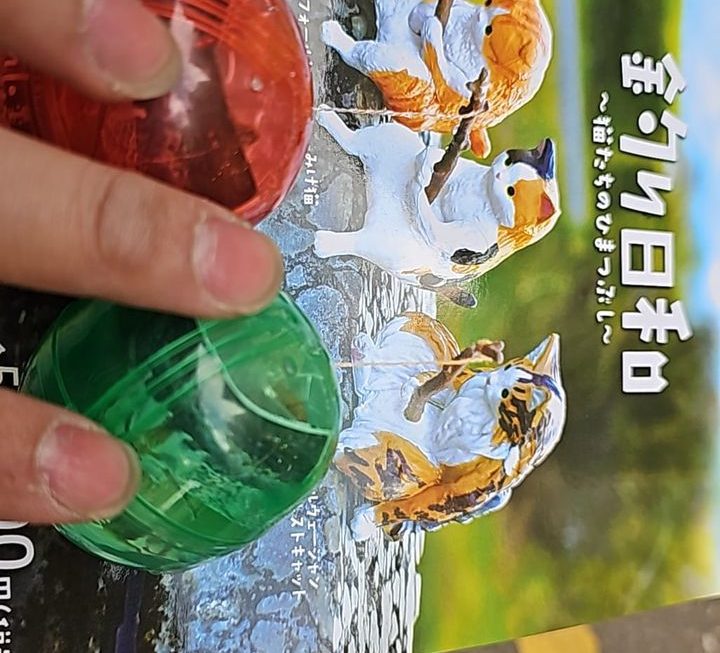 $15 十五蚊一隻睇彩數門口位
