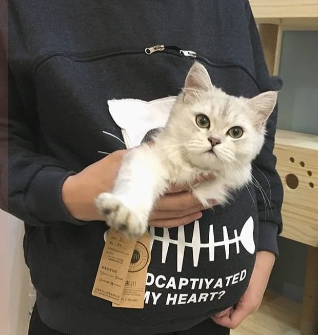 $39 。。件衫門口位只有大碼。。。