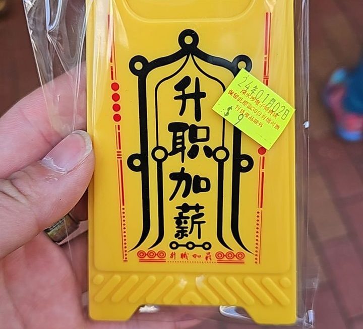 $9…新年願望