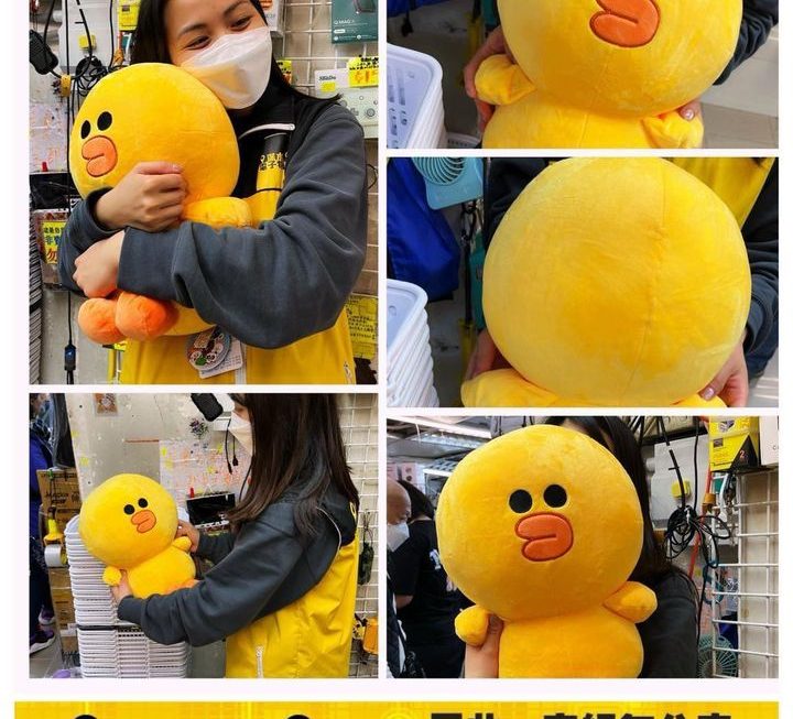 Line Friends Sally 公仔~$39