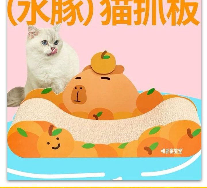 水豚造型貓抓板~$49