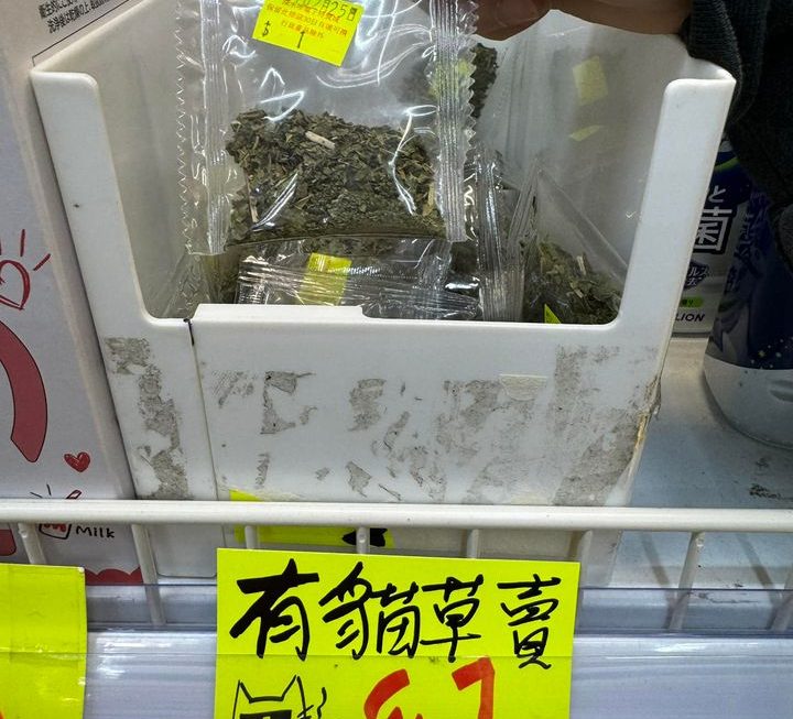 限量發售———貓草 $1