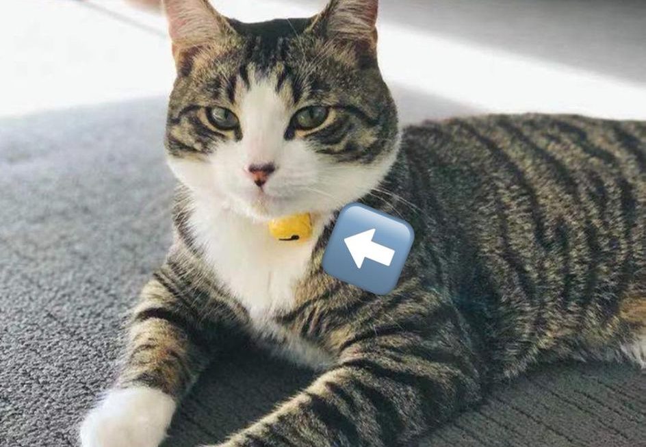 貓啷啷 （靜音版）$19