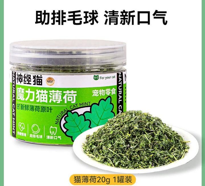 樽裝貓草 $9