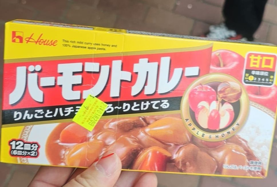 $9 咖哩味嘅咖哩