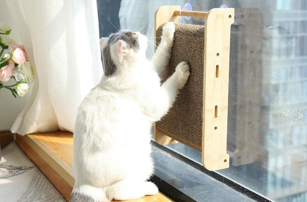 吸盤式貓抓板 $39