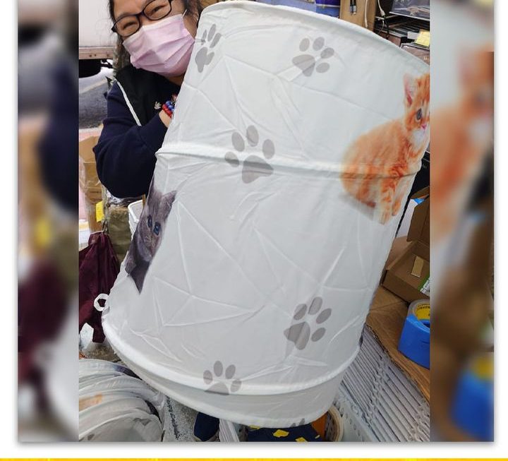 姨姨推介