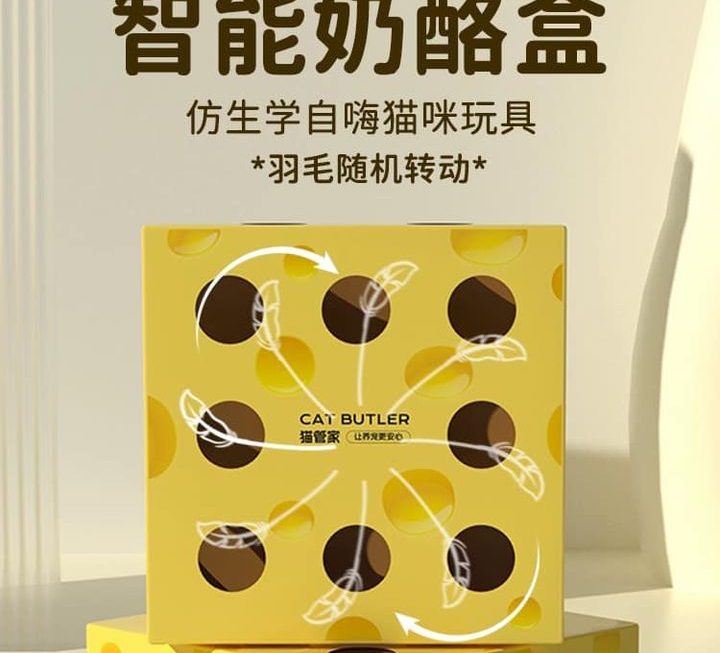 貓玩具 $35